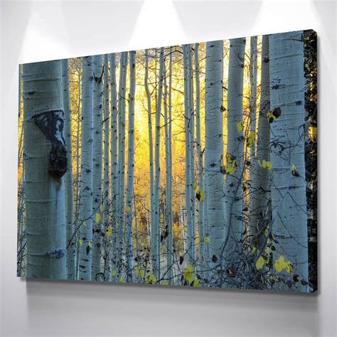 large birch tree wall art